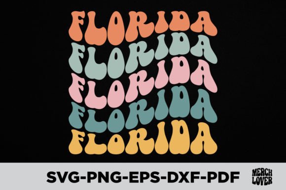 USA America Groovy Florida State T-Shirt